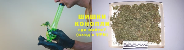 шишки Алексеевка