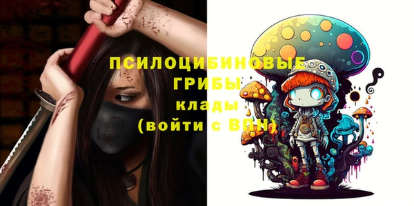 крисы Алзамай