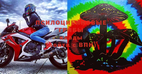 крисы Алзамай