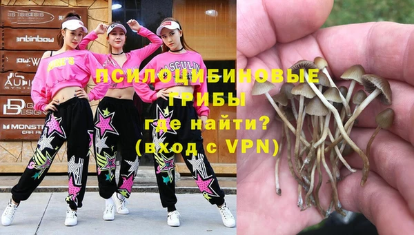 крисы Алзамай